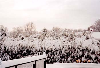 snow01