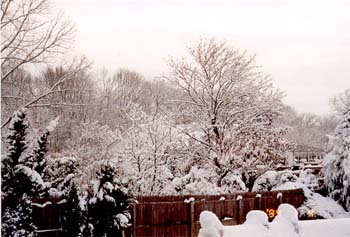 snow02