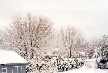 snow03
