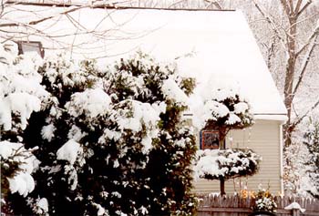 snow04